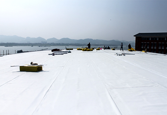 Membrana impermeabilizante de PVC versus TPO: cuál es mejor para proyectos de techado