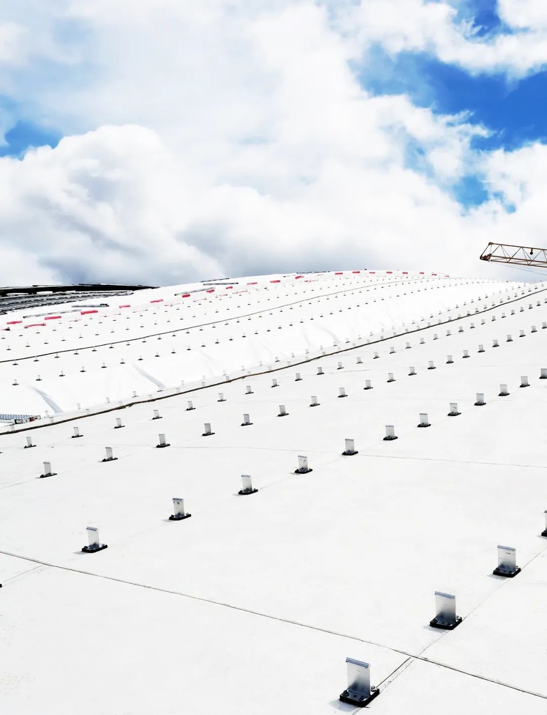 campo de esqu&iacute;