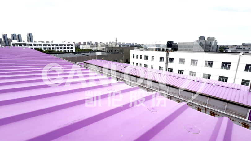 Boutique Canlon | Integre el estado de ánimo morado en el techo: ¡haga que su edificio se destaque!