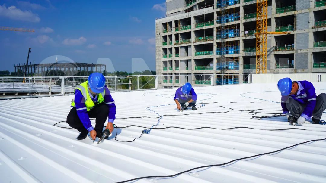 Panel Integrado Canlon TMP