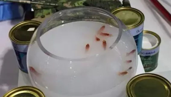 Verde CANLON |¡No puede beber esta pintura, pero puede beberla con confianza en las instalaciones de distribución de agua que la usan!