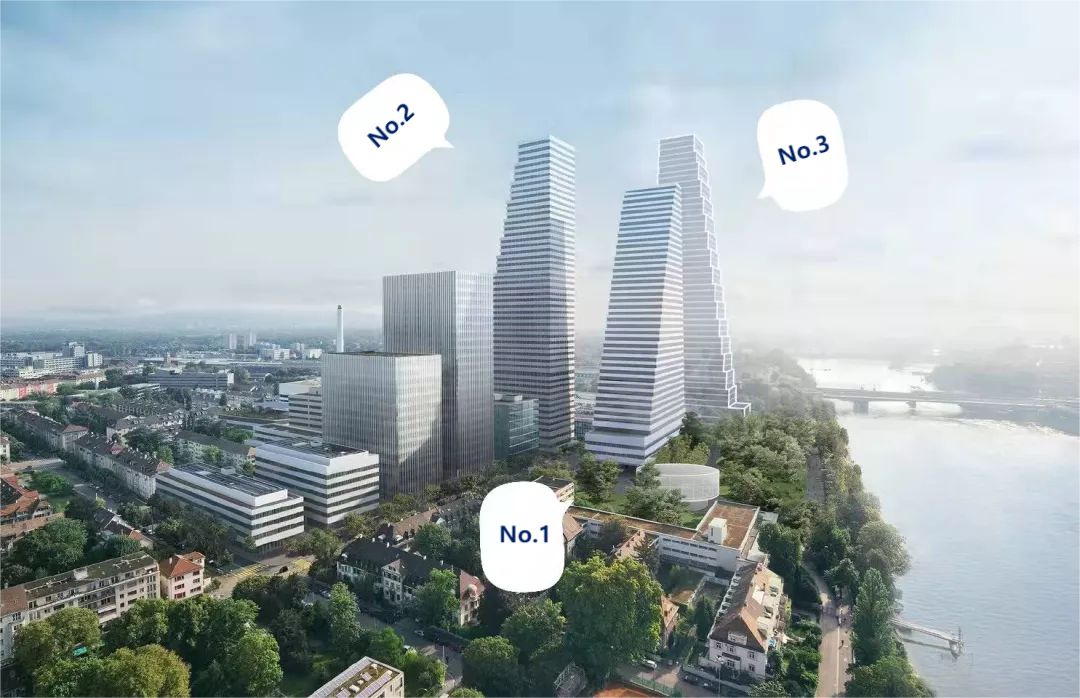 Acerca de Torre Roche