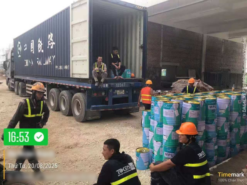 Canlón internacional | ¡Empoderar el sudeste asiático y construir excelentes techos!