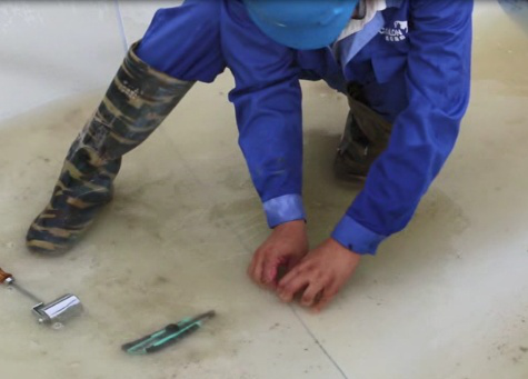 forfens membrana impermeabilizante preaplicada 2