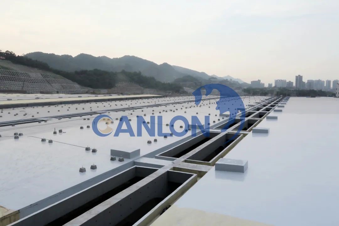 Excelente CANLON |¡Este premio es tan valioso que CANLON olvidó decírselo a todos!