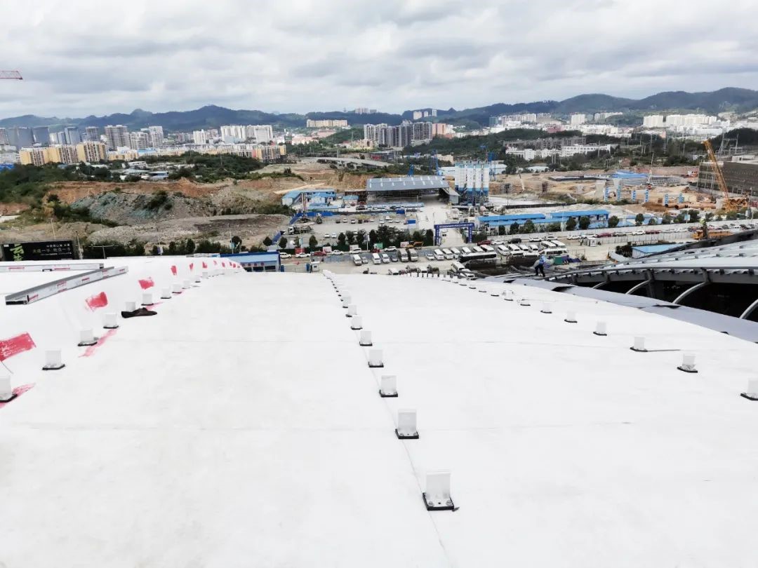 campo de esqu&iacute;